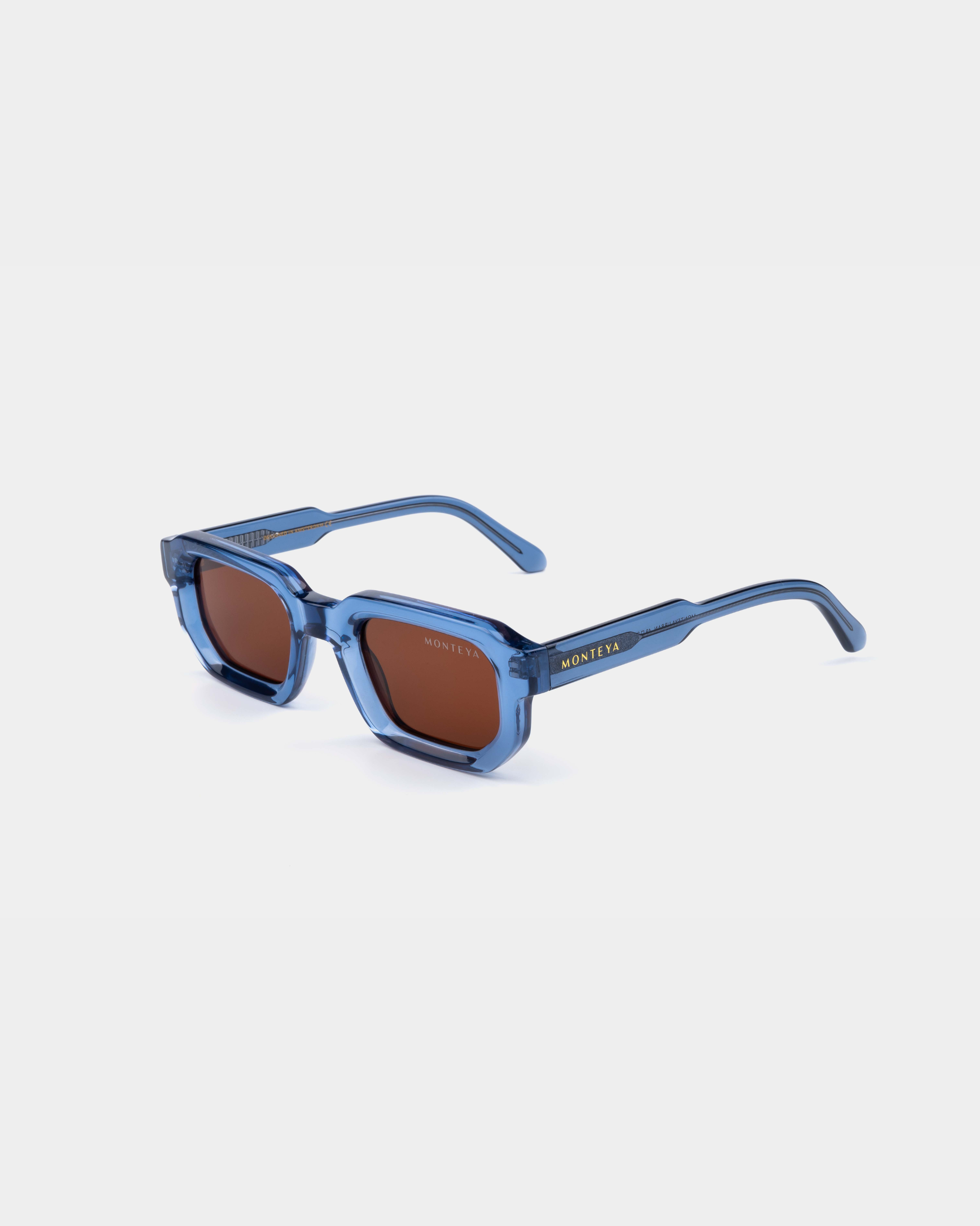 MONTEYA Urban - Lagoon - Acetate Frame - TAC Polarized Lenses - High End Eyewear - 05
